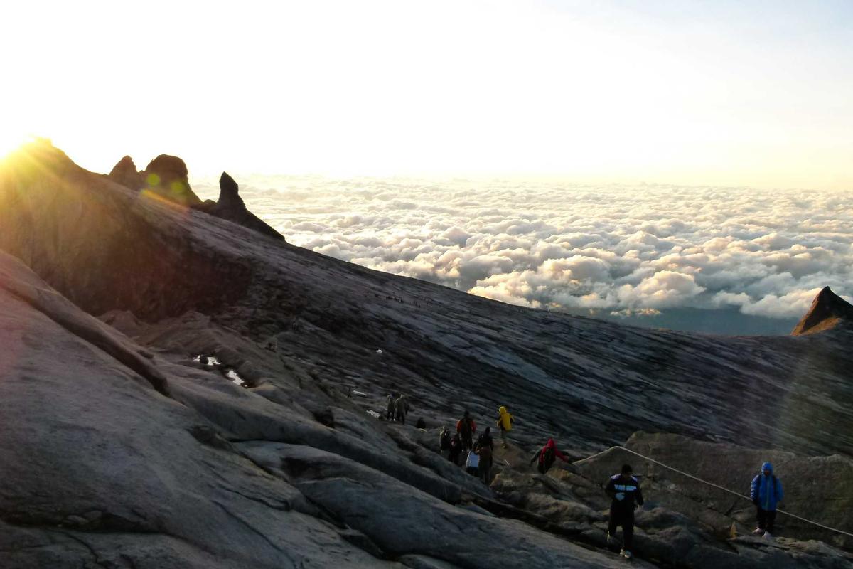 Google Ungkap 7,5% Perangkat Sudah Gunakan Android 16